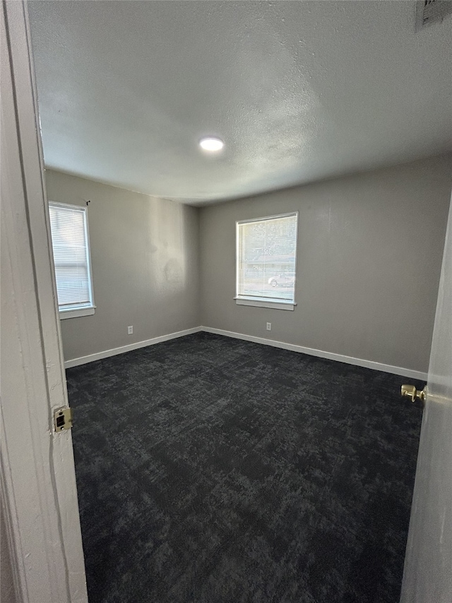 carpeted empty room with a textured ceiling and a healthy amount of sunlight