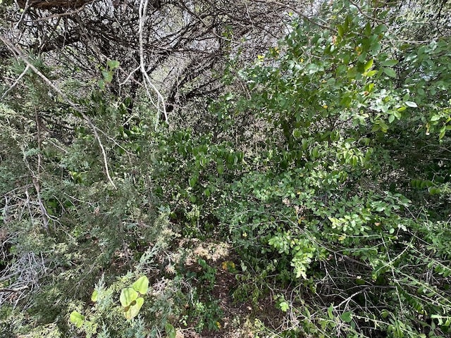 Listing photo 3 for TBD Linda Lee Loop, Whitney TX 76692