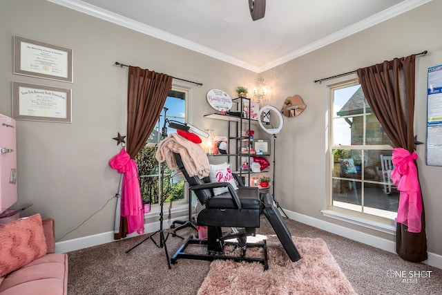 exercise area with carpet and crown molding