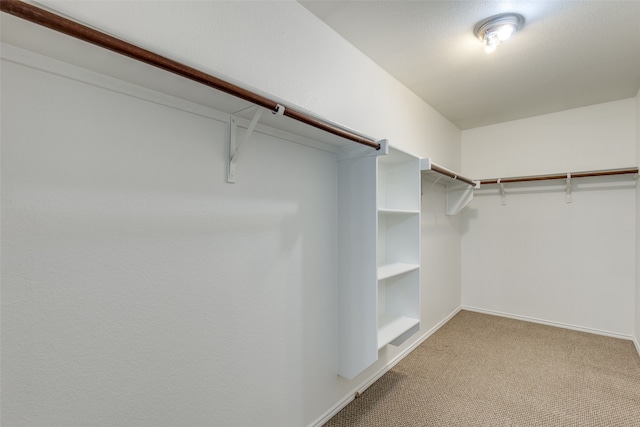 walk in closet featuring carpet floors