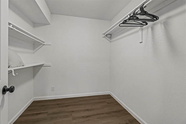 walk in closet with hardwood / wood-style floors