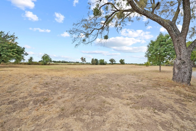 view of yard featuring a rural view