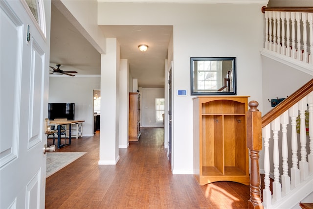 foyer entrance featuring dark wood-type flooring