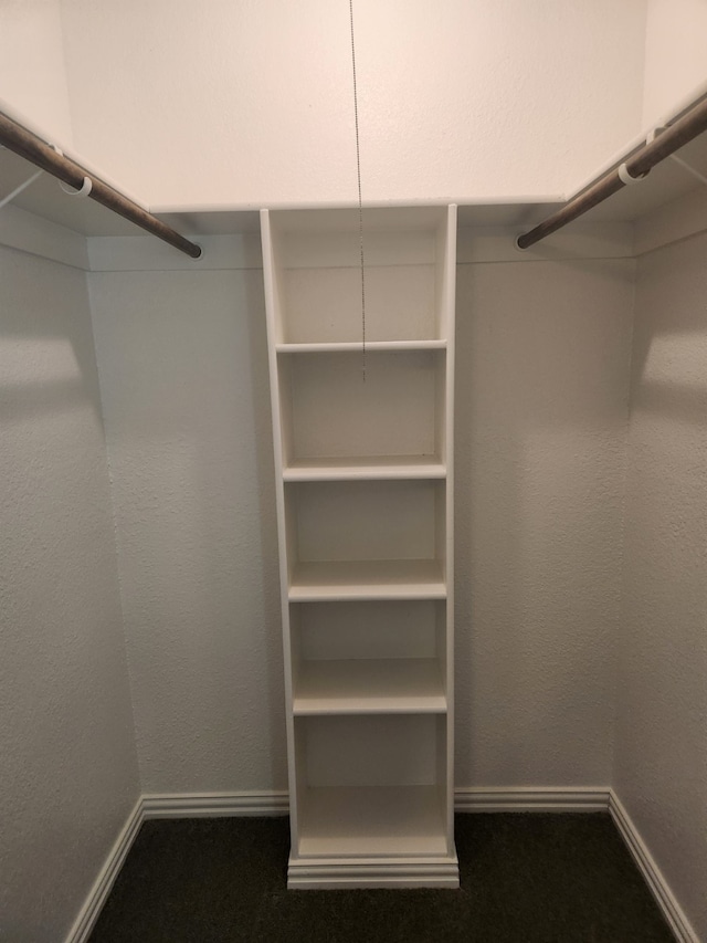 walk in closet featuring carpet floors