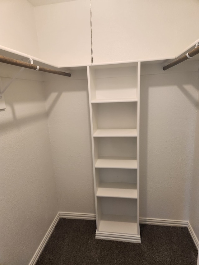 spacious closet featuring dark colored carpet