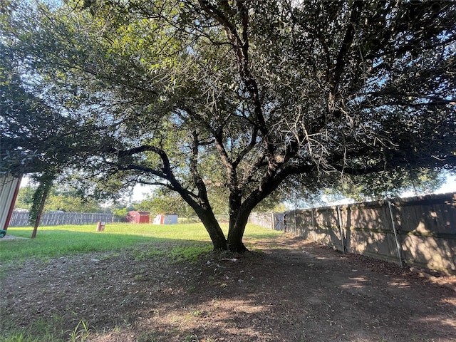 view of yard featuring a storage unit