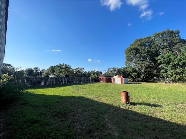 view of yard with a shed