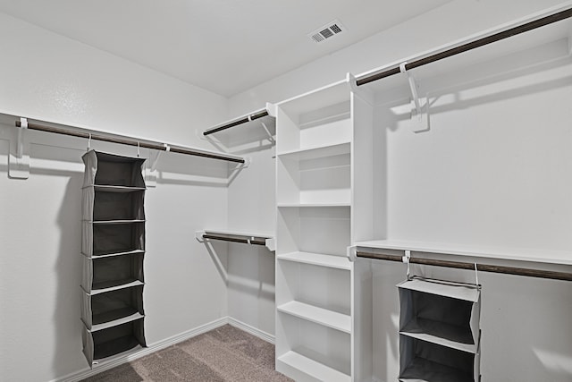 spacious closet with light colored carpet