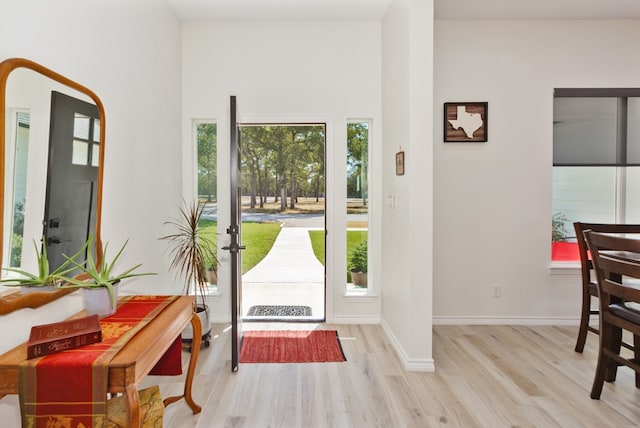 foyer featuring a high ceiling and light hardwood / wood-style flooring