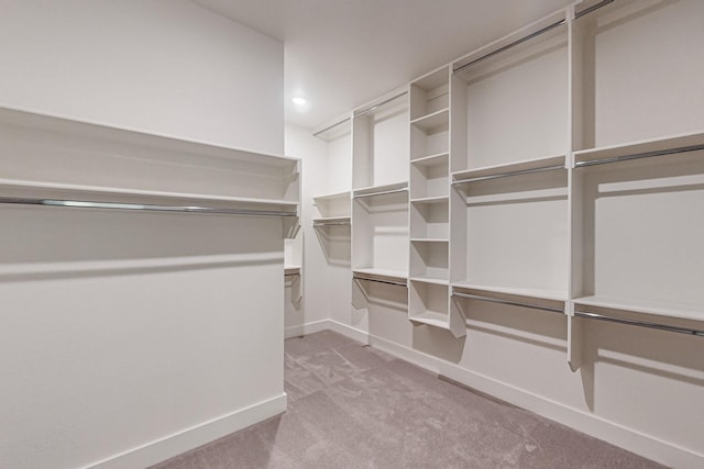 spacious closet with light colored carpet