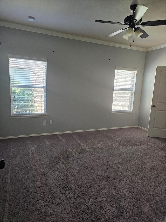 empty room with ceiling fan, carpet flooring, and crown molding