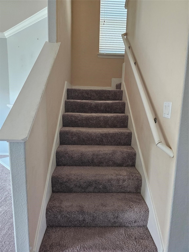 stairs with carpet floors