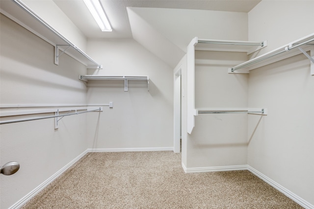 walk in closet featuring vaulted ceiling and carpet