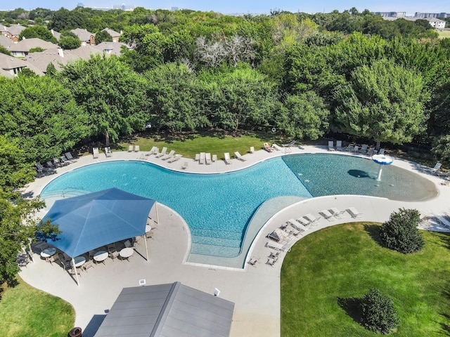 view of pool with a yard