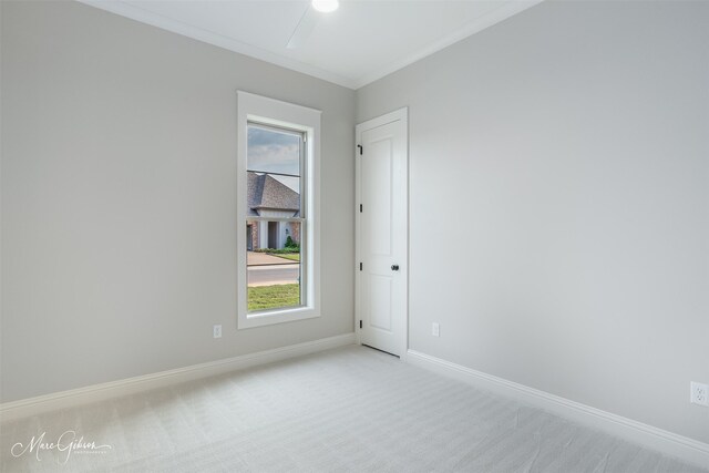 empty room featuring light carpet and crown molding