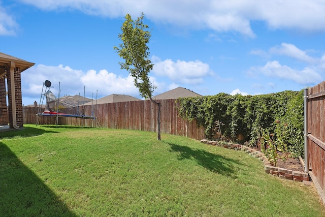 view of yard with a trampoline