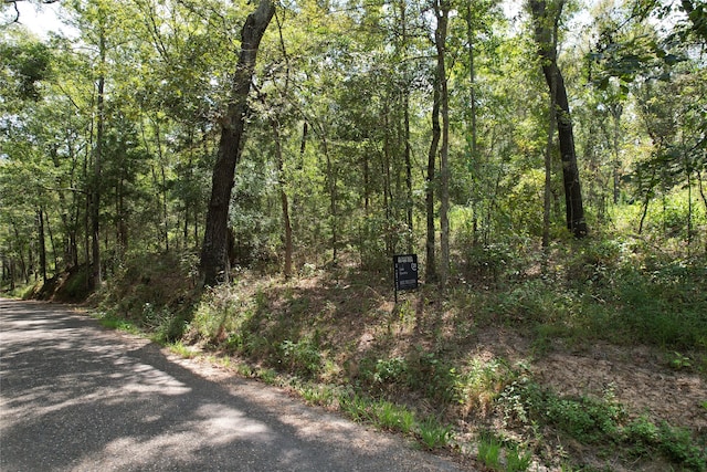 Listing photo 3 for 14.385 SE County Road 3470, Winnsboro TX 75494