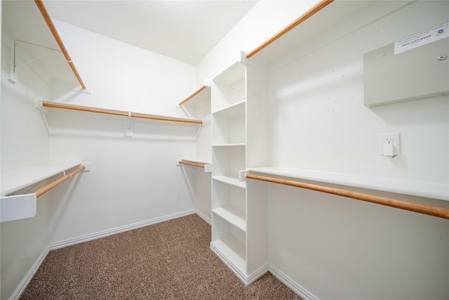 spacious closet with carpet