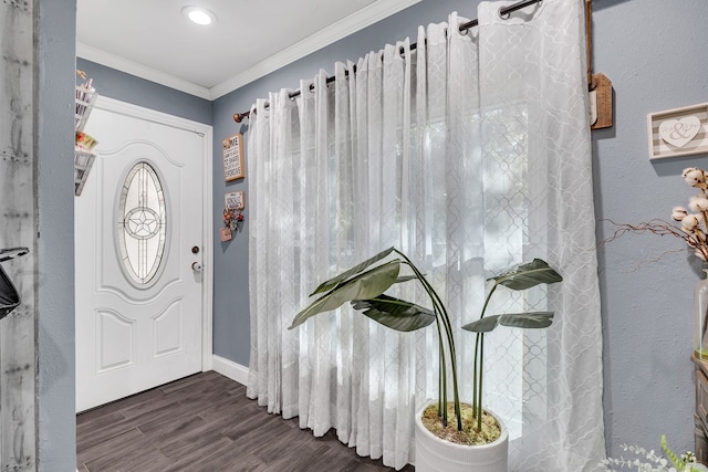 entryway with crown molding and dark wood-type flooring