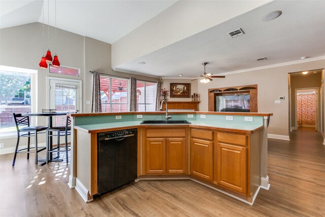 kitchen featuring light wood-type flooring, black dishwasher, a kitchen island with sink, and sink