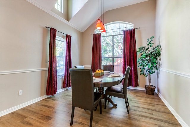 dining room featuring a healthy amount of sunlight, baseboards, and wood finished floors