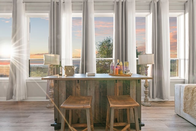 interior space featuring plenty of natural light and light hardwood / wood-style floors