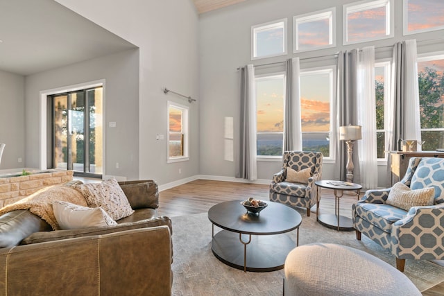 living room featuring plenty of natural light, a towering ceiling, and light hardwood / wood-style flooring