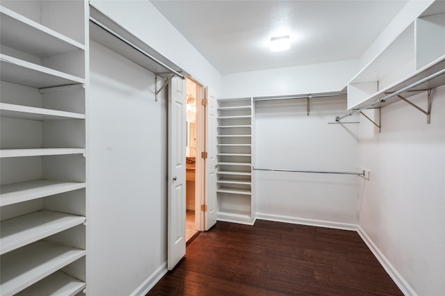 spacious closet featuring dark wood-type flooring