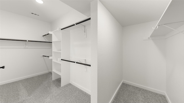 spacious closet featuring light colored carpet