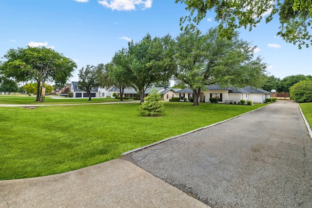 exterior space with a lawn