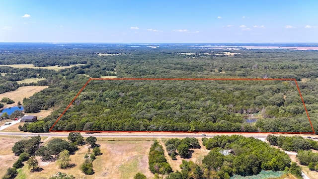 TBD Fm-273, Ivanhoe TX, 75447 land for sale