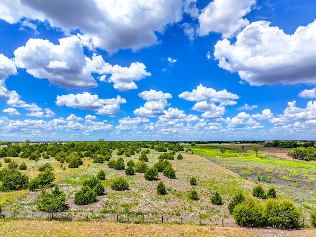 aerial view with a rural view