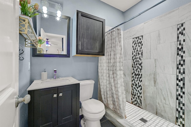 bathroom featuring vanity, toilet, and a shower with curtain