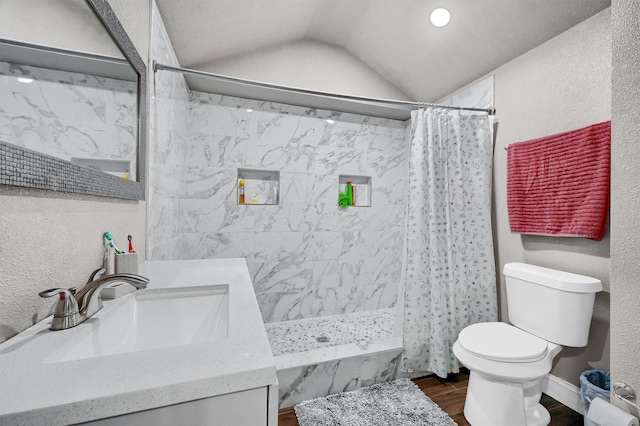 bathroom with vaulted ceiling, toilet, a shower with curtain, and vanity