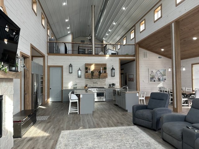 living room with hardwood / wood-style floors, high vaulted ceiling, sink, and a stone fireplace