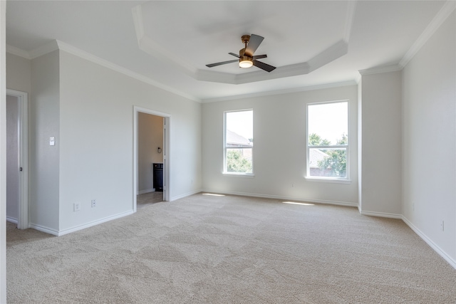 carpeted empty room with ceiling fan, a raised ceiling, and ornamental molding