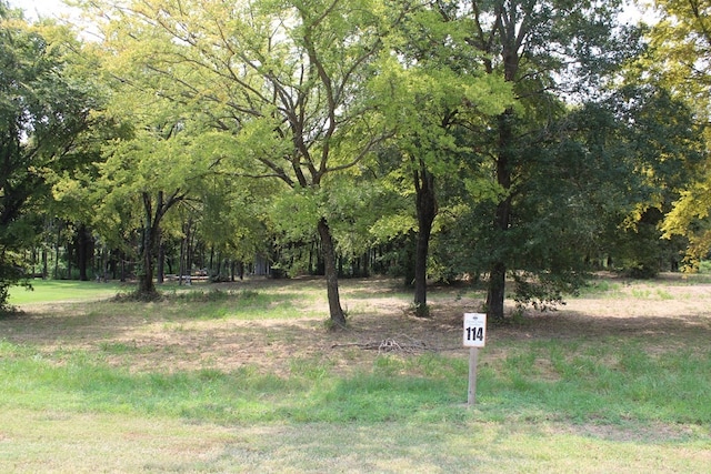 Listing photo 3 for 317 Cedar Creek Landing Ln, Mabank TX 75143