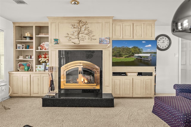 room details with a wood stove and carpet floors