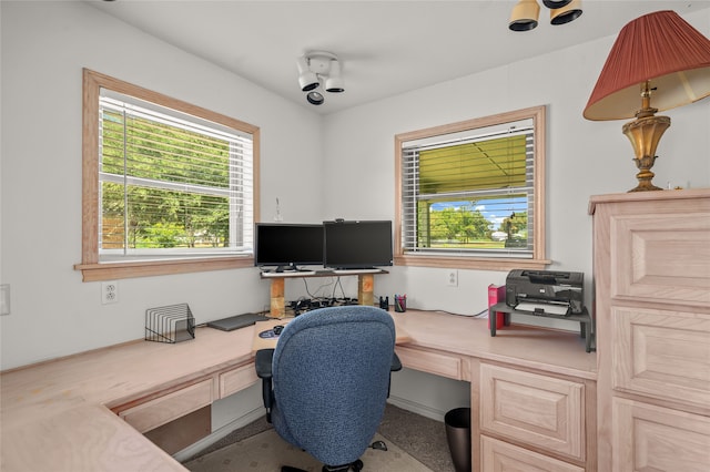 office space featuring carpet flooring