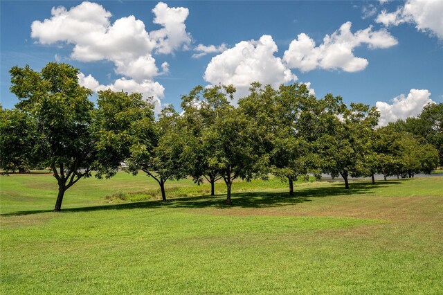 view of community featuring a yard