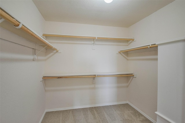 spacious closet with carpet