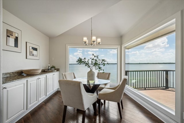 dining room with a healthy amount of sunlight, dark hardwood / wood-style floors, and a water view