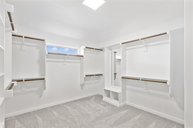 spacious closet with light colored carpet