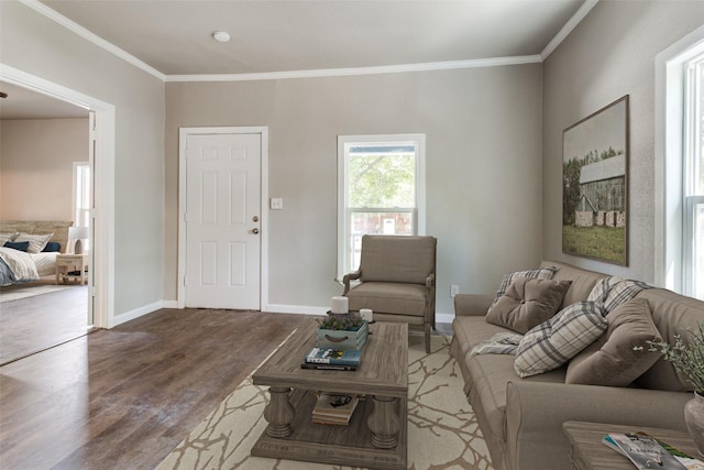 living room with crown molding and hardwood / wood-style floors