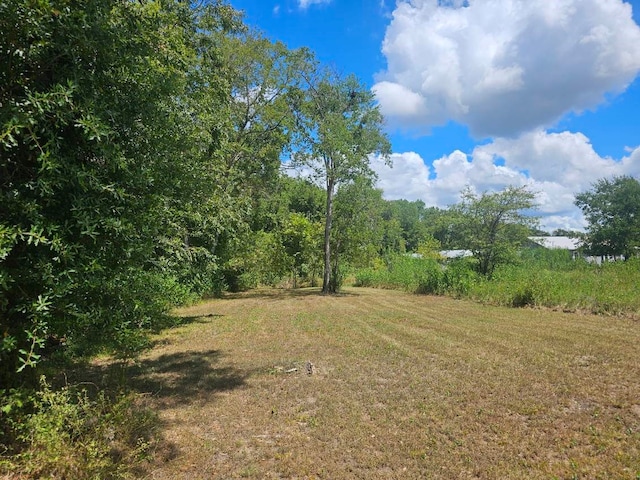 Listing photo 2 for TBD Jackson St, Teague TX 75860