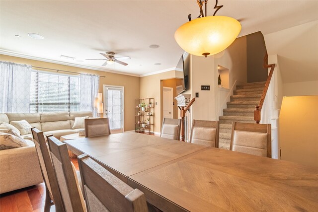 dining room featuring crown molding, hardwood / wood-style floors, and ceiling fan