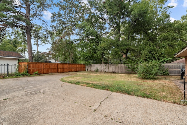 view of yard featuring a patio area