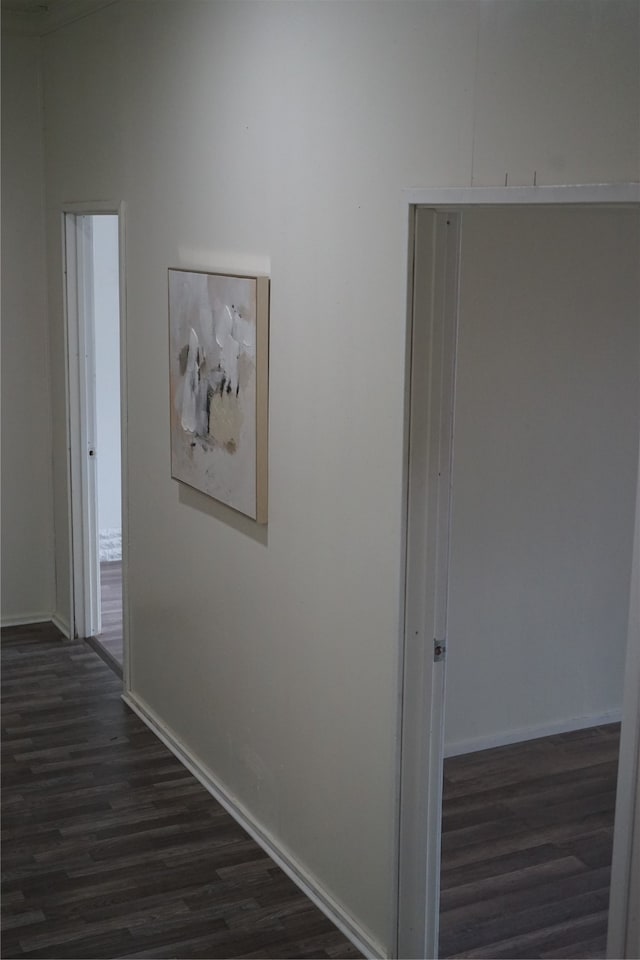 corridor with dark hardwood / wood-style flooring