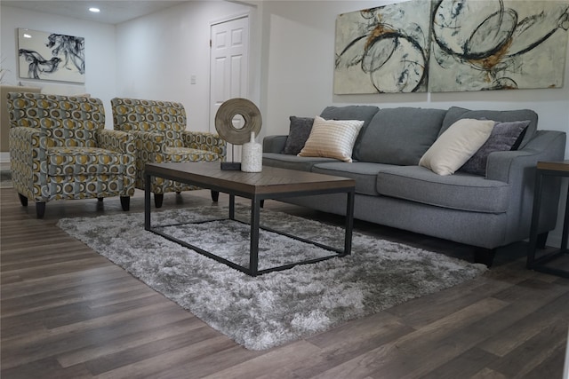 living room with dark wood-type flooring