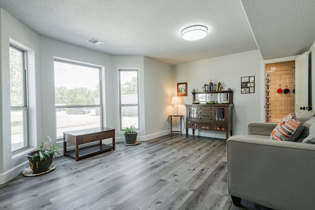 living room featuring a textured ceiling, light hardwood / wood-style floors, and a healthy amount of sunlight